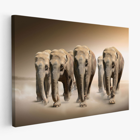 Tableau toile - Éléphants