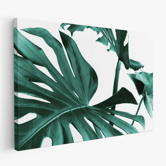 Tableau toile - Feuilles Tropicales Monstera