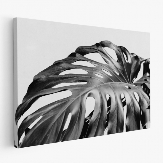 Tableau toile - Feuilles Tropicales Monstera