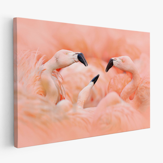 Tableau toile - Flamants Roses