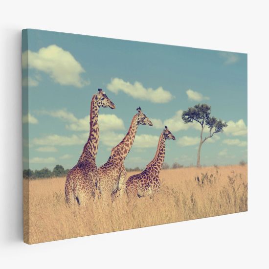 Tableau toile - Girafes