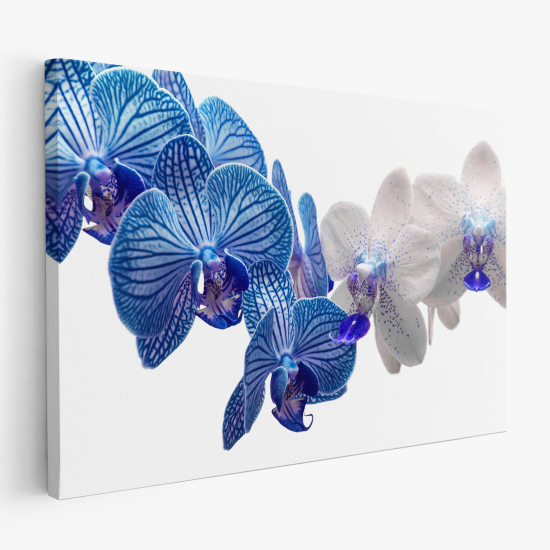 Tableau toile - Orchidées bleues