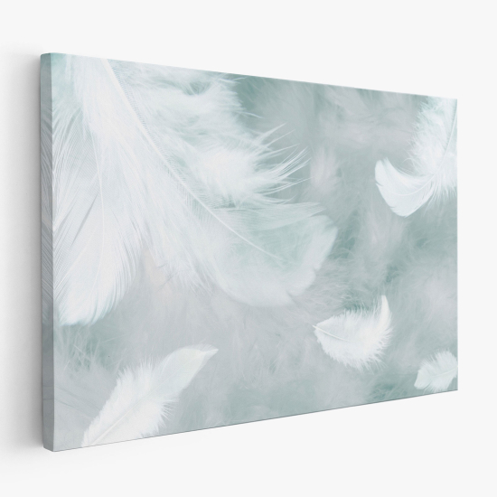 Tableau toile - Plumes