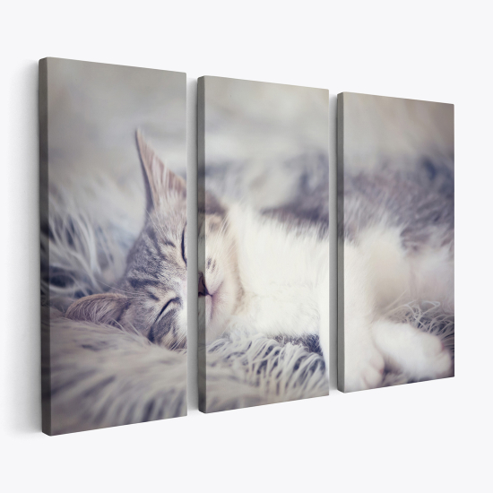 Tableau triptyque sur toile - Chat