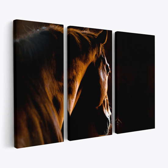 Tableau triptyque sur toile - Cheval