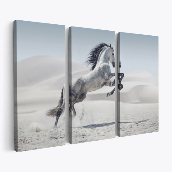 Tableau triptyque sur toile - Cheval