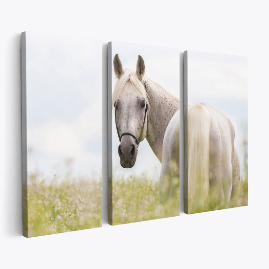 Tableau triptyque sur toile - Cheval