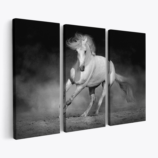 Tableau triptyque sur toile - Cheval