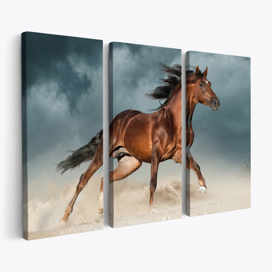 Tableau triptyque sur toile - Cheval