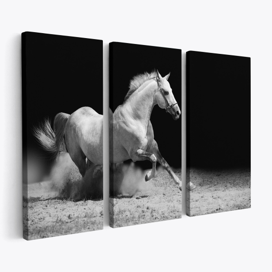 Tableau triptyque sur toile - Cheval blanc