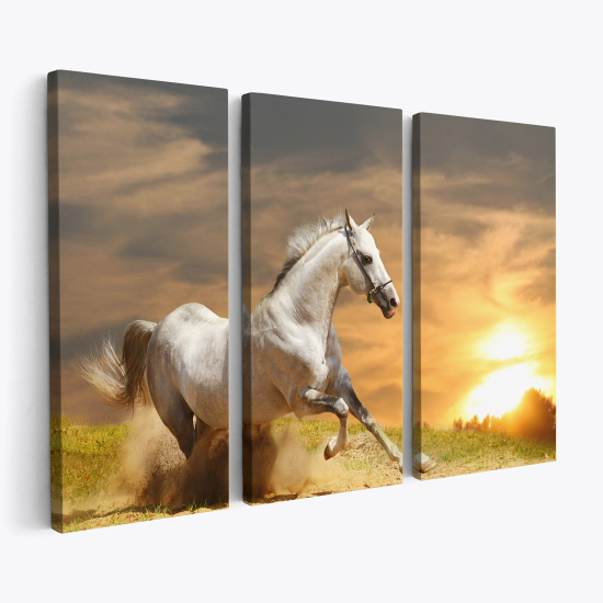 Tableau triptyque sur toile - Cheval blanc