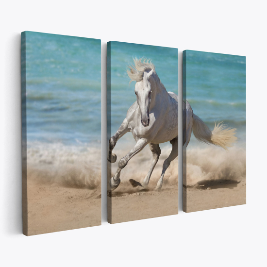 Tableau triptyque sur toile - Cheval sur la plage