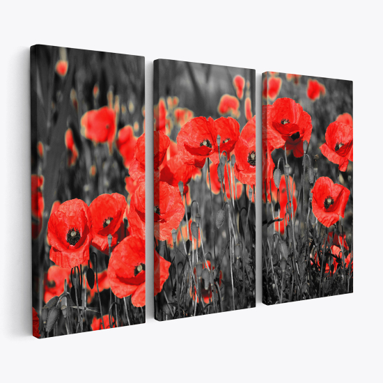 Tableau triptyque sur toile - Coquelicots