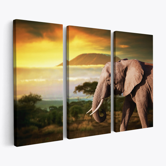 Tableau triptyque sur toile - Eléphant