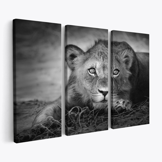 Tableau triptyque sur toile - Lion