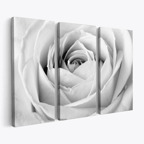 Tableau triptyque sur toile - Rose blanche