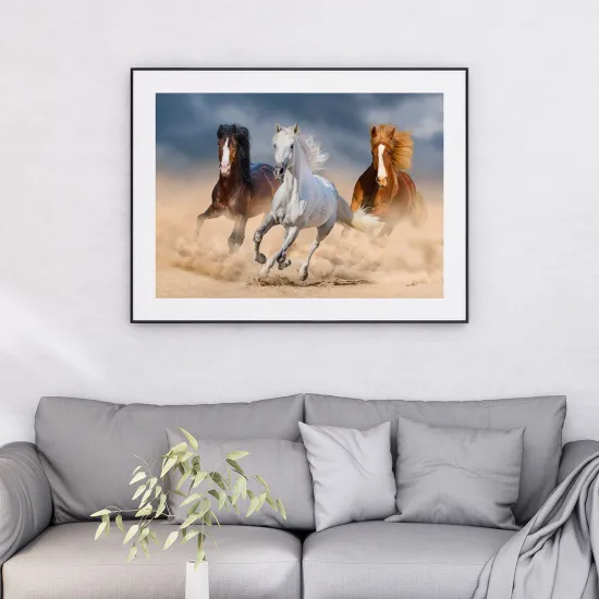 Affiche / Poster - Chevaux