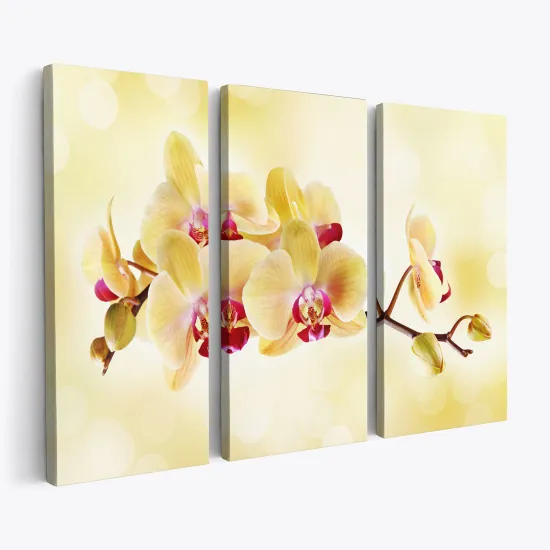 Tableau triptyque sur toile - Orchidées