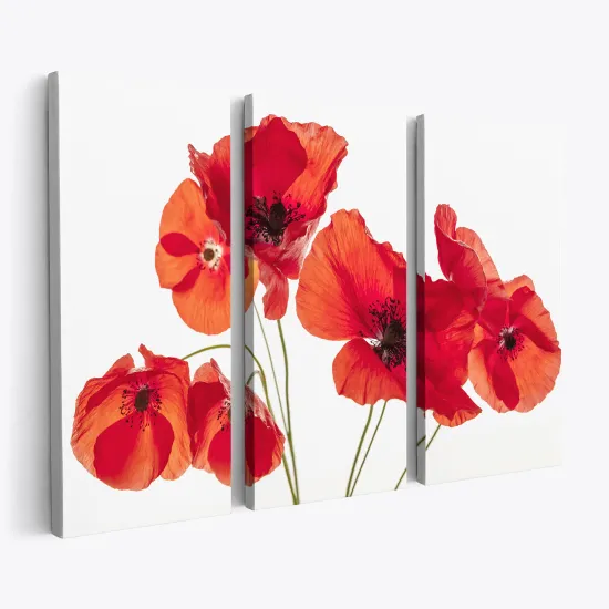 Tableau triptyque sur toile - Coquelicots