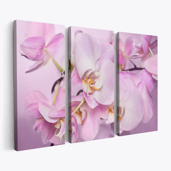 Tableau triptyque sur toile - Orchidées