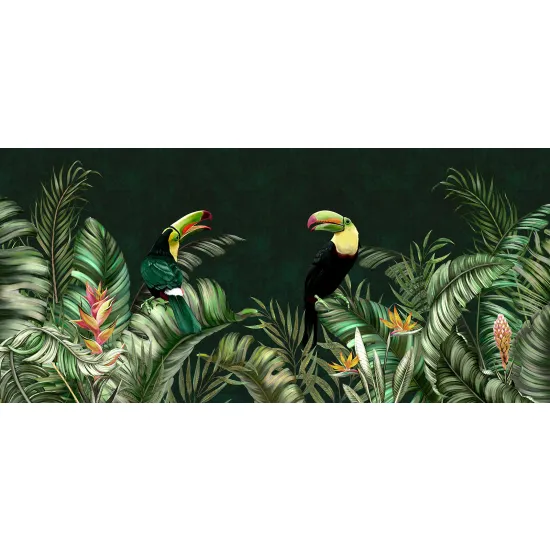 Papier peint panoramique - Toucans