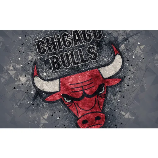 Papier peint panoramique Basket / Basket-ball - Chicago Bulls