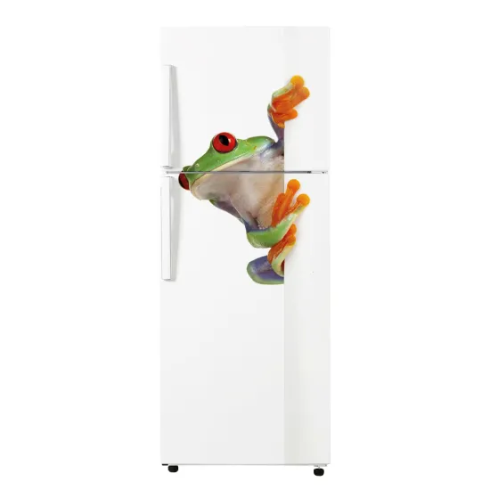 Stickers Frigo - Grenouille