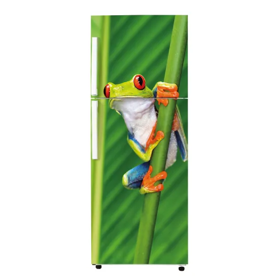 Stickers Frigo - Grenouille