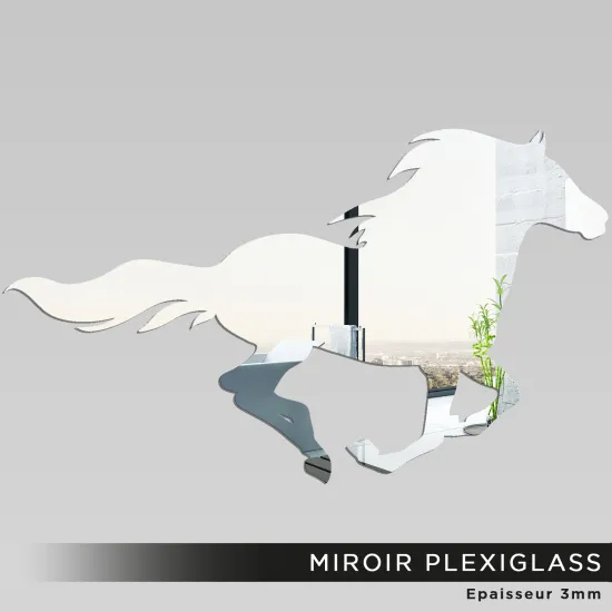 Miroir Plexiglass - Cheval