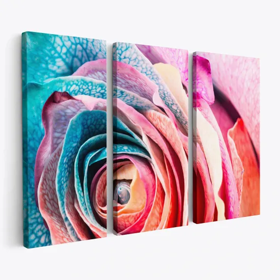 Tableau triptyque - Rose coloré