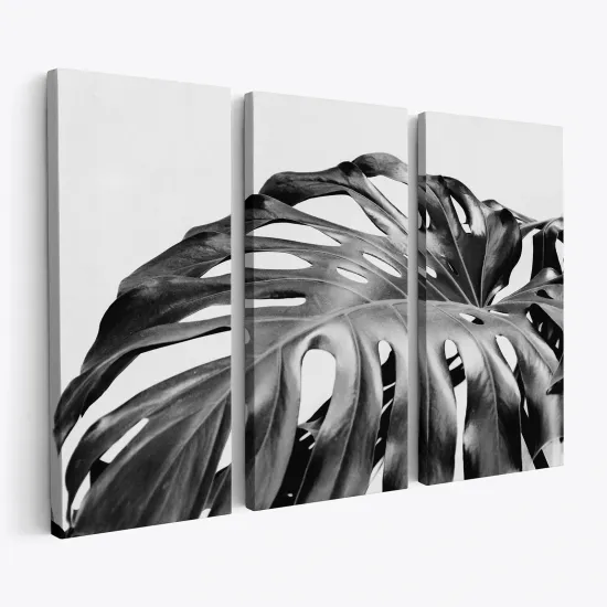 Tableau triptyque - Feuilles Tropicales Monstera